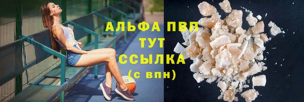 индика Абдулино