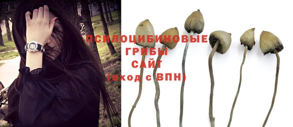 индика Абдулино