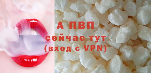 крисы Новокубанск