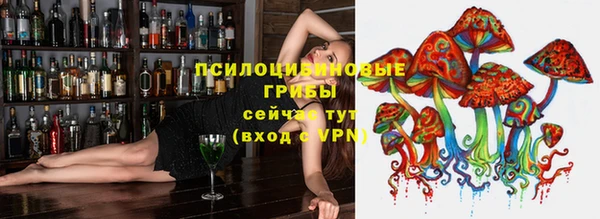 марки nbome Новозыбков