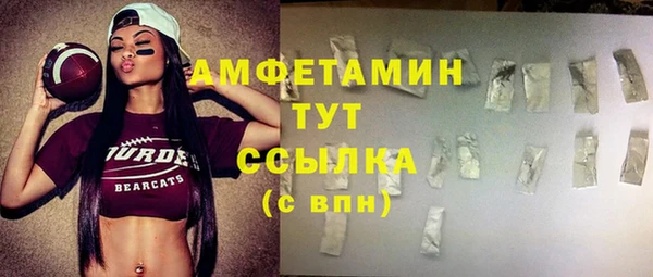 крисы Новокубанск