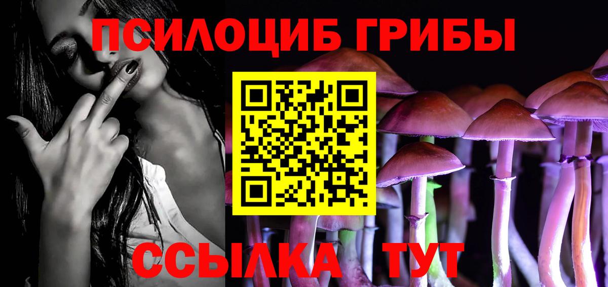 Галлюциногенные грибы Psilocybine cubensis Норильск