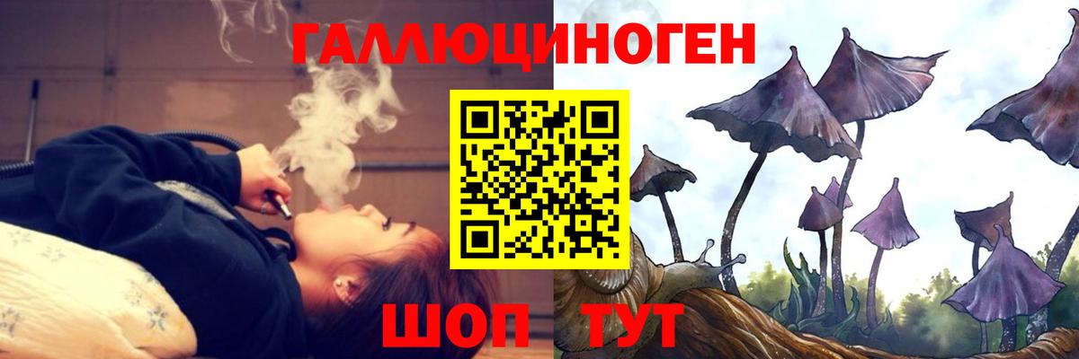 Галлюциногенные грибы GOLDEN TEACHER  Галлюциногенные грибы Cubensis  Норильск  Вход с VPN 