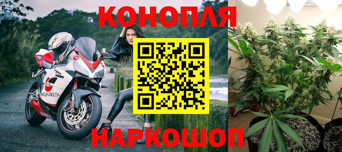 МАРИХУАНА индика  Норильск  Каннабис сатива  Каннабис White Widow 